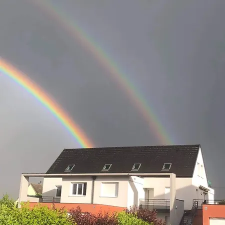 Daire Du Cote Des Vignes En Alsace