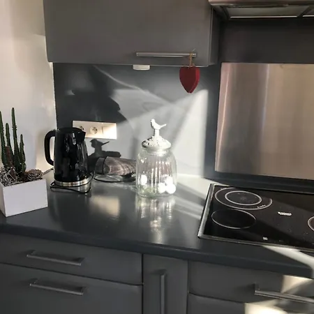 Apartment Du Cote Des Vignes En Alsace