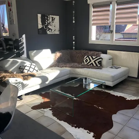 Daire Du Cote Des Vignes En Alsace