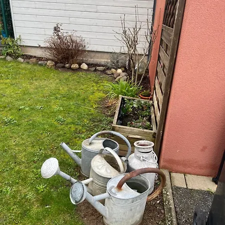 Apartment Du Cote Des Vignes En Alsace *