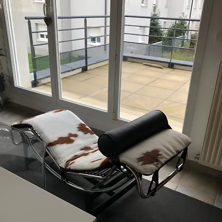 Du Cote Des Vignes En Alsace