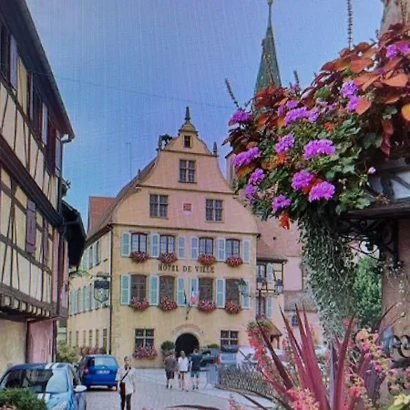 Apartment Coquet