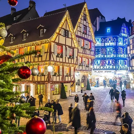 Daire Du Cote Des Vignes En Alsace *