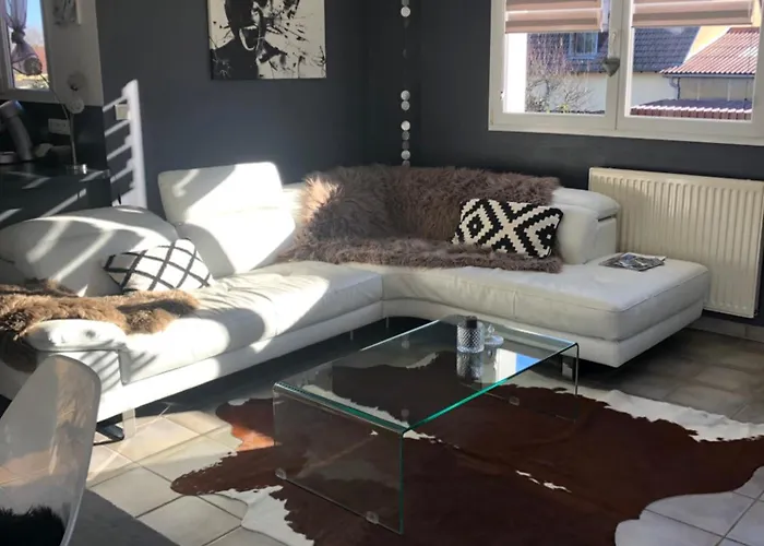 Daire Du Cote Des Vignes En Alsace