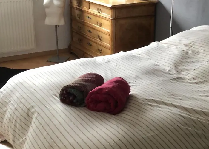 Du Cote Des Vignes En Alsace