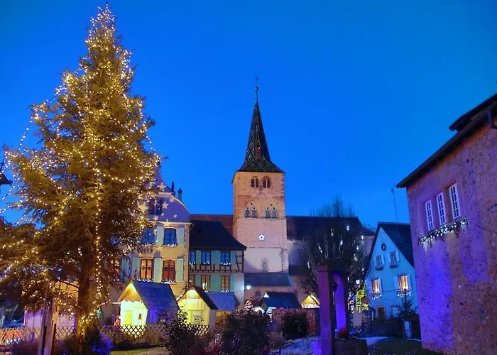 Du Cote Des Vignes En Alsace Daire