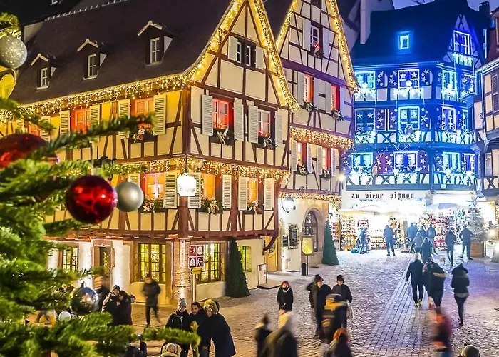 Daire Du Cote Des Vignes En Alsace *